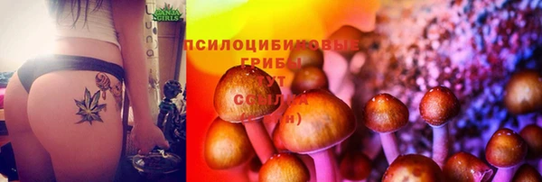 мескалин Киреевск